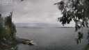 ./images/koeye/fitz-hugh/20260626/fitz-hugh20260626_143501M.jpg