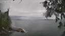 ./images/koeye/fitz-hugh/20260626/fitz-hugh20260626_144001M.jpg