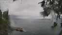 ./images/koeye/fitz-hugh/20260626/fitz-hugh20260626_144501M.jpg
