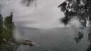 ./images/koeye/fitz-hugh/20260626/fitz-hugh20260626_145001M.jpg