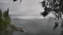 ./images/koeye/fitz-hugh/20260626/fitz-hugh20260626_145501M.jpg