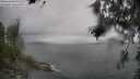 ./images/koeye/fitz-hugh/20260626/fitz-hugh20260626_150001M.jpg