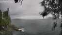 ./images/koeye/fitz-hugh/20260626/fitz-hugh20260626_150501M.jpg