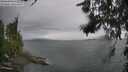 ./images/koeye/fitz-hugh/20260626/fitz-hugh20260626_151001M.jpg