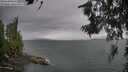 ./images/koeye/fitz-hugh/20260626/fitz-hugh20260626_151501M.jpg