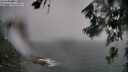 ./images/koeye/fitz-hugh/20260626/fitz-hugh20260626_155001M.jpg