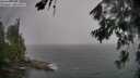 ./images/koeye/fitz-hugh/20260626/fitz-hugh20260626_155501M.jpg
