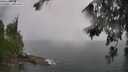 ./images/koeye/fitz-hugh/20260626/fitz-hugh20260626_163002M.jpg