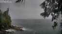 ./images/koeye/fitz-hugh/20260626/fitz-hugh20260626_175002M.jpg