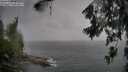 ./images/koeye/fitz-hugh/20260626/fitz-hugh20260626_182501M.jpg