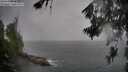 ./images/koeye/fitz-hugh/20260626/fitz-hugh20260626_183001M.jpg