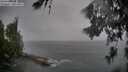 ./images/koeye/fitz-hugh/20260626/fitz-hugh20260626_183501M.jpg