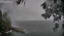 ./images/koeye/fitz-hugh/20260626/fitz-hugh20260626_184001M.jpg