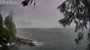 ./images/koeye/fitz-hugh/20260626/fitz-hugh20260626_190002M.jpg