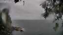 ./images/koeye/fitz-hugh/20260626/fitz-hugh20260626_195501M.jpg