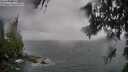 ./images/koeye/fitz-hugh/20260626/fitz-hugh20260626_201501M.jpg