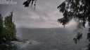 ./images/koeye/fitz-hugh/20260626/fitz-hugh20260626_204501M.jpg