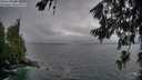 ./images/koeye/fitz-hugh/20260626/fitz-hugh20260626_213501M.jpg