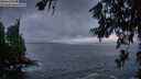 ./images/koeye/fitz-hugh/20260626/fitz-hugh20260626_221501M.jpg