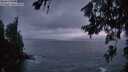 ./images/koeye/fitz-hugh/20260626/fitz-hugh20260626_222002M.jpg