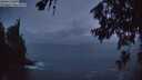 ./images/koeye/fitz-hugh/20260626/fitz-hugh20260626_223501M.jpg