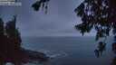 ./images/koeye/fitz-hugh/20260627/fitz-hugh20260627_044501M.jpg