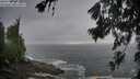 ./images/koeye/fitz-hugh/20260627/fitz-hugh20260627_064501M.jpg