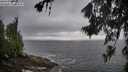 ./images/koeye/fitz-hugh/20260627/fitz-hugh20260627_071501M.jpg