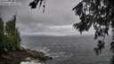 ./images/koeye/fitz-hugh/20260627/fitz-hugh20260627_072501M.jpg