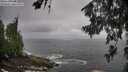 ./images/koeye/fitz-hugh/20260627/fitz-hugh20260627_075001M.jpg