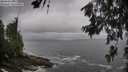 ./images/koeye/fitz-hugh/20260627/fitz-hugh20260627_082501M.jpg