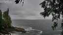 ./images/koeye/fitz-hugh/20260627/fitz-hugh20260627_085001M.jpg