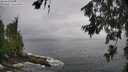./images/koeye/fitz-hugh/20260627/fitz-hugh20260627_101001M.jpg