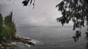 ./images/koeye/fitz-hugh/20260627/fitz-hugh20260627_101502M.jpg