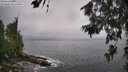 ./images/koeye/fitz-hugh/20260627/fitz-hugh20260627_102001M.jpg