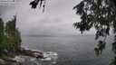./images/koeye/fitz-hugh/20260627/fitz-hugh20260627_102501M.jpg