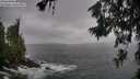 ./images/koeye/fitz-hugh/20260627/fitz-hugh20260627_111501M.jpg