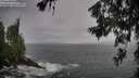 ./images/koeye/fitz-hugh/20260627/fitz-hugh20260627_112501M.jpg