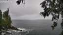 ./images/koeye/fitz-hugh/20260627/fitz-hugh20260627_114501M.jpg