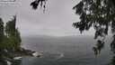 ./images/koeye/fitz-hugh/20260627/fitz-hugh20260627_122002M.jpg