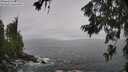 ./images/koeye/fitz-hugh/20260627/fitz-hugh20260627_122501M.jpg
