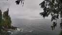 ./images/koeye/fitz-hugh/20260627/fitz-hugh20260627_123502M.jpg