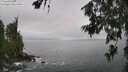 ./images/koeye/fitz-hugh/20260627/fitz-hugh20260627_125001M.jpg