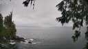 ./images/koeye/fitz-hugh/20260627/fitz-hugh20260627_125501M.jpg