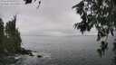 ./images/koeye/fitz-hugh/20260627/fitz-hugh20260627_130502M.jpg