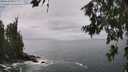 ./images/koeye/fitz-hugh/20260627/fitz-hugh20260627_134501M.jpg
