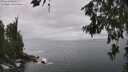 ./images/koeye/fitz-hugh/20260627/fitz-hugh20260627_135001M.jpg
