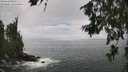 ./images/koeye/fitz-hugh/20260627/fitz-hugh20260627_141001M.jpg
