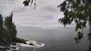 ./images/koeye/fitz-hugh/20260627/fitz-hugh20260627_143501M.jpg