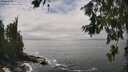 ./images/koeye/fitz-hugh/20260627/fitz-hugh20260627_145001M.jpg